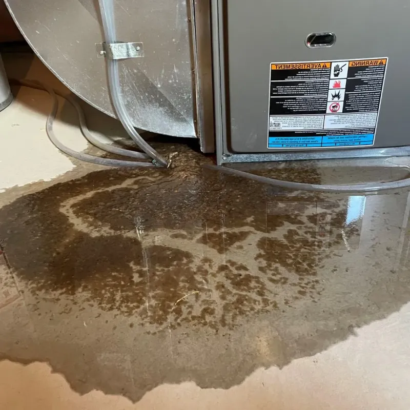 Pipe Burst and Leak Restoration in Frenchburg, KY