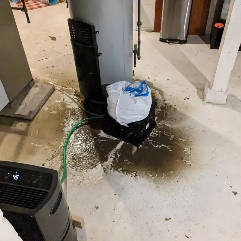 Sewage Backup Cleanup Service in Frenchburg, KY